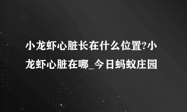 小龙虾心脏长在什么位置?小龙虾心脏在哪_今日蚂蚁庄园