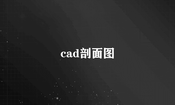 cad剖面图