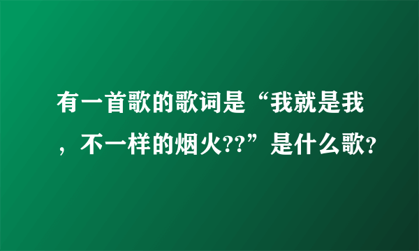 有一首歌的歌词是“我就是我，不一样的烟火??”是什么歌？