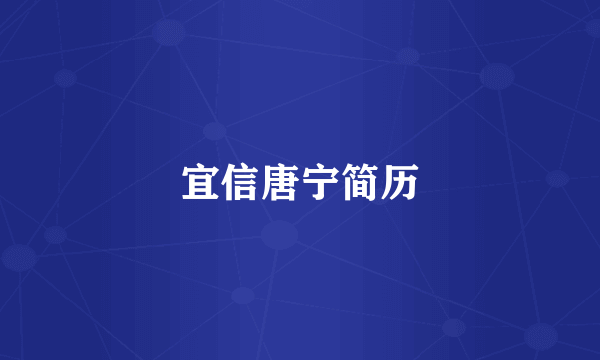 宜信唐宁简历