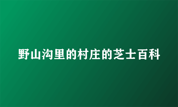 野山沟里的村庄的芝士百科
