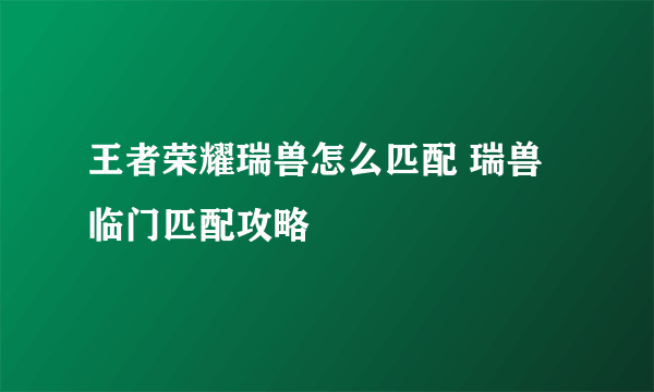 王者荣耀瑞兽怎么匹配 瑞兽临门匹配攻略