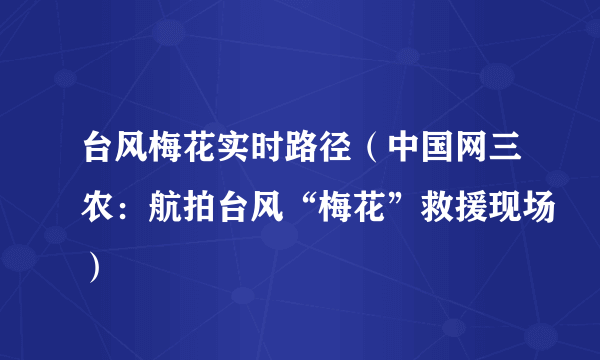 台风梅花实时路径（中国网三农：航拍台风“梅花”救援现场）