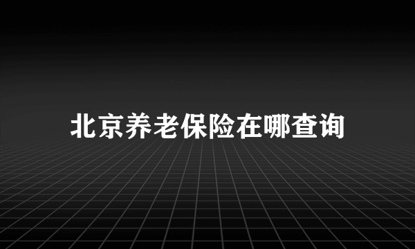 北京养老保险在哪查询