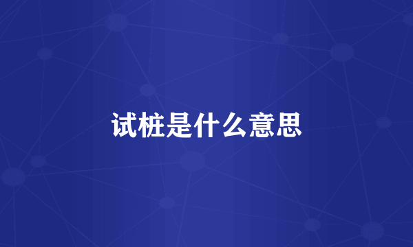 试桩是什么意思