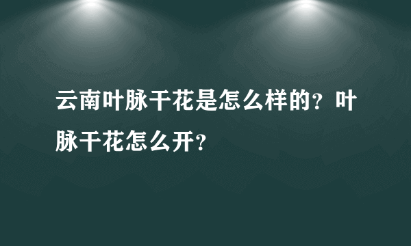 云南叶脉干花是怎么样的？叶脉干花怎么开？