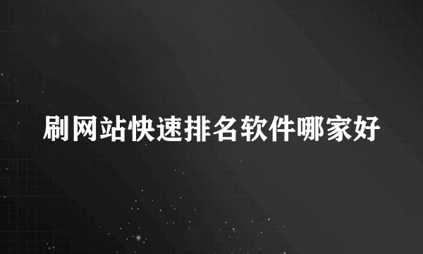 刷网站快速排名软件哪家好