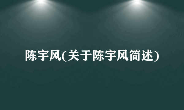 陈宇风(关于陈宇风简述)