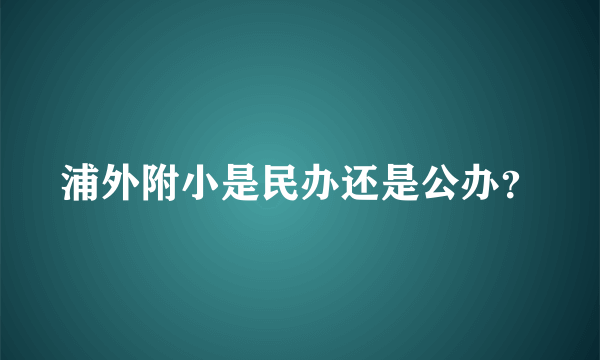 浦外附小是民办还是公办？