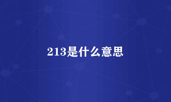 213是什么意思