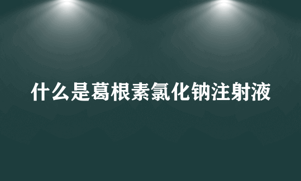 什么是葛根素氯化钠注射液