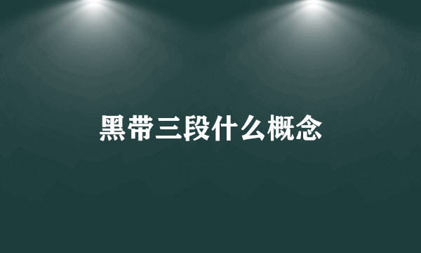 黑带三段什么概念