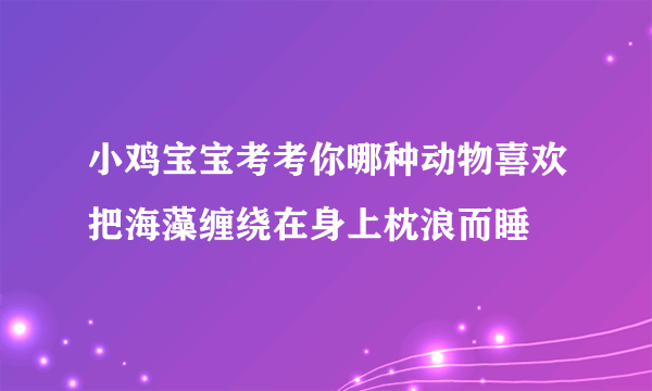 小鸡宝宝考考你哪种动物喜欢把海藻缠绕在身上枕浪而睡