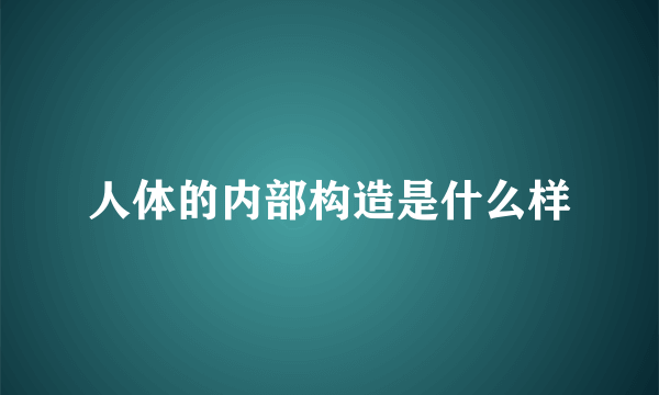 人体的内部构造是什么样
