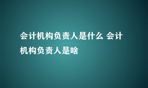 会计机构负责人是什么 会计机构负责人是啥