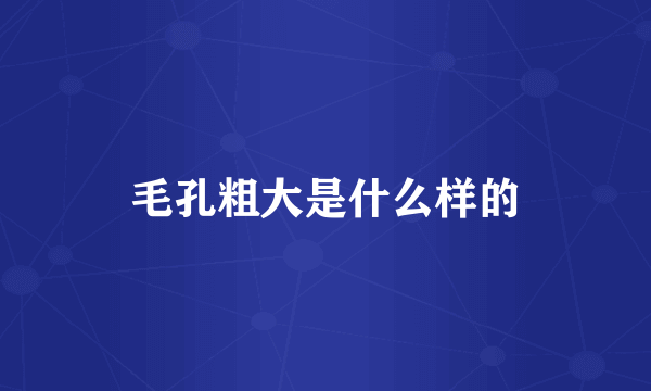 毛孔粗大是什么样的