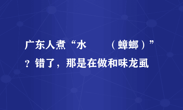广东人煮“水曱甴（蟑螂）”？错了，那是在做和味龙虱