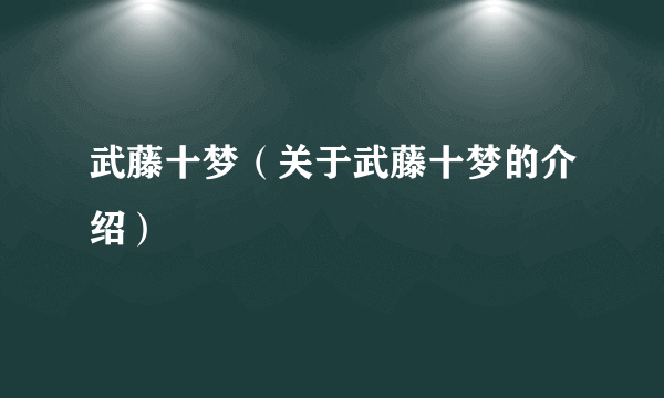 武藤十梦（关于武藤十梦的介绍）