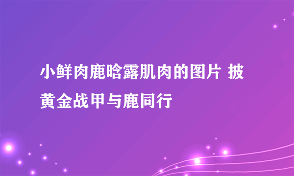 小鲜肉鹿晗露肌肉的图片 披黄金战甲与鹿同行
