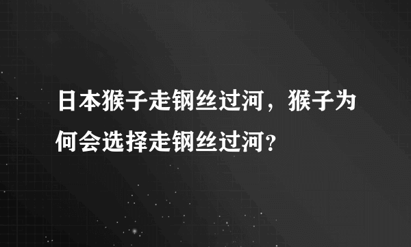 日本猴子走钢丝过河，猴子为何会选择走钢丝过河？