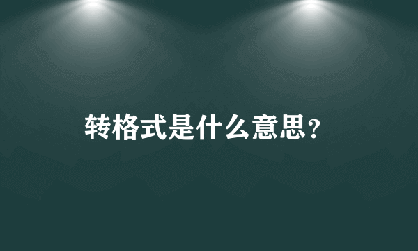 转格式是什么意思？