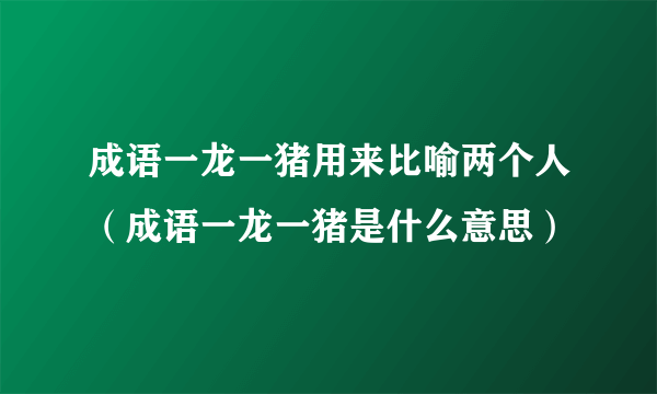 成语一龙一猪用来比喻两个人（成语一龙一猪是什么意思）