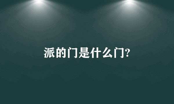 派的门是什么门?