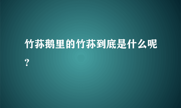 竹荪鹅里的竹荪到底是什么呢？
