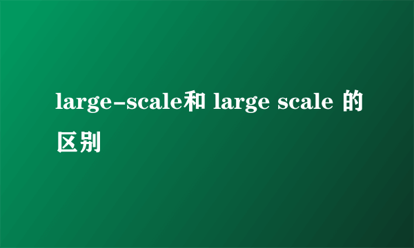 large-scale和 large scale 的区别