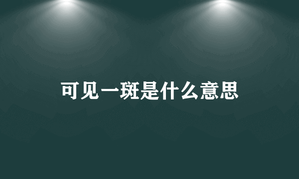 可见一斑是什么意思