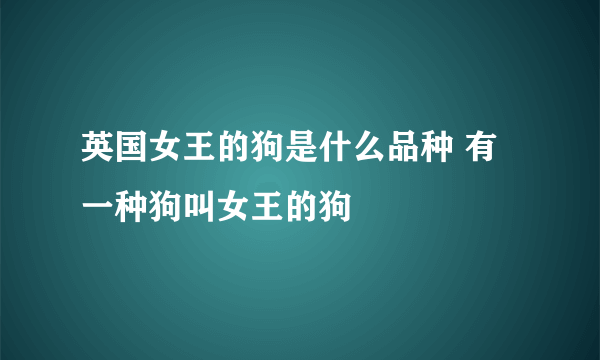 英国女王的狗是什么品种 有一种狗叫女王的狗