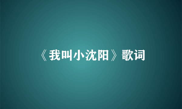 《我叫小沈阳》歌词