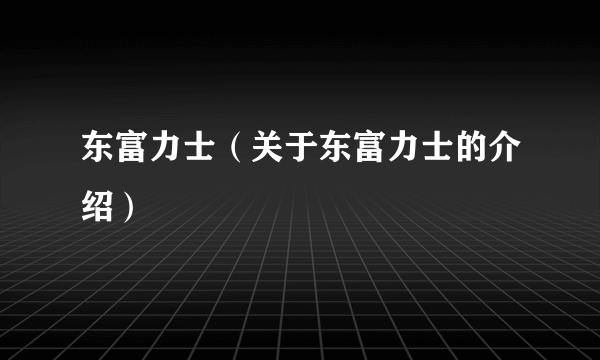 东富力士（关于东富力士的介绍）
