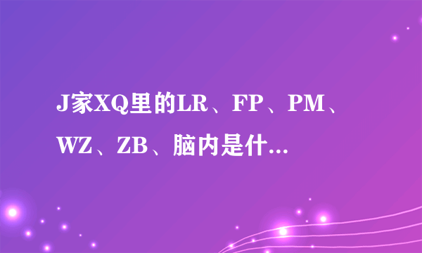 J家XQ里的LR、FP、PM、WZ、ZB、脑内是什么意思？