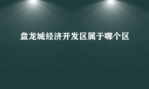 盘龙城经济开发区属于哪个区