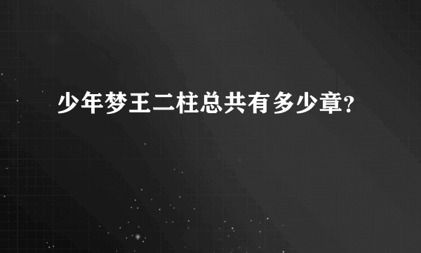 少年梦王二柱总共有多少章？