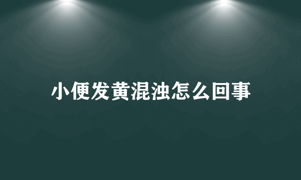 小便发黄混浊怎么回事