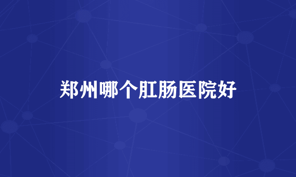 郑州哪个肛肠医院好