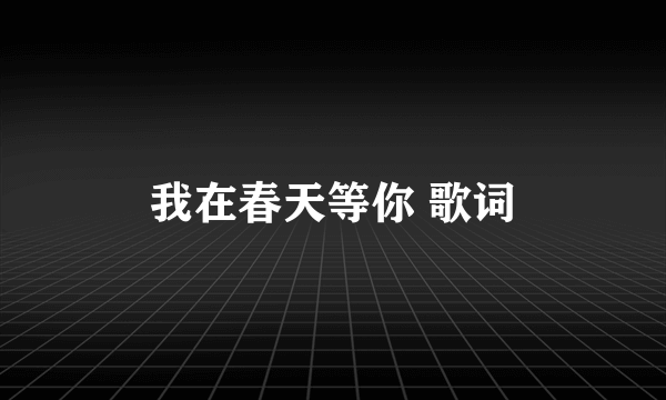 我在春天等你 歌词