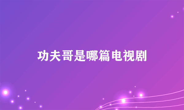 功夫哥是哪篇电视剧