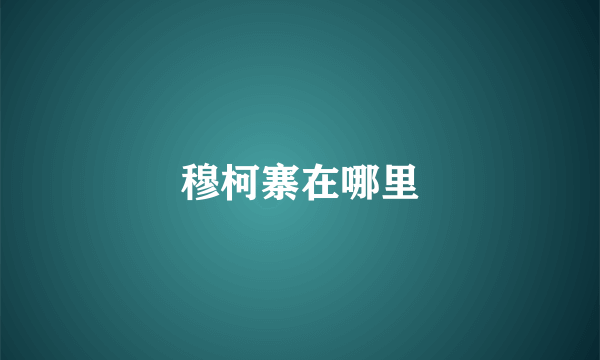 穆柯寨在哪里