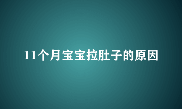 11个月宝宝拉肚子的原因