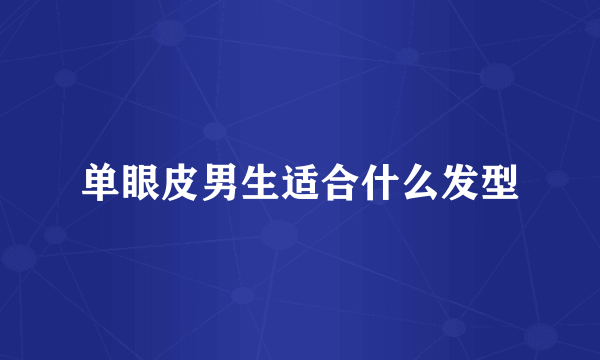 单眼皮男生适合什么发型