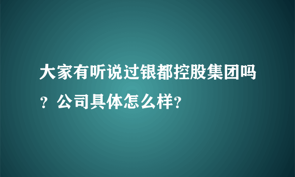 大家有听说过银都控股集团吗？公司具体怎么样？