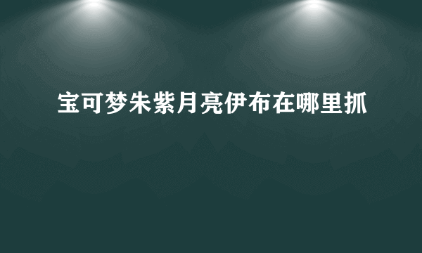 宝可梦朱紫月亮伊布在哪里抓