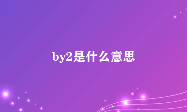 by2是什么意思