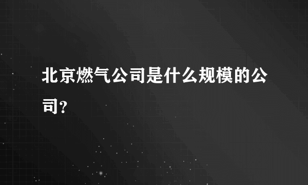 北京燃气公司是什么规模的公司？