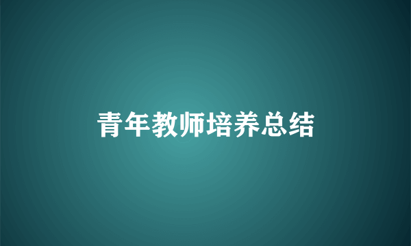 青年教师培养总结