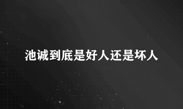 池诚到底是好人还是坏人