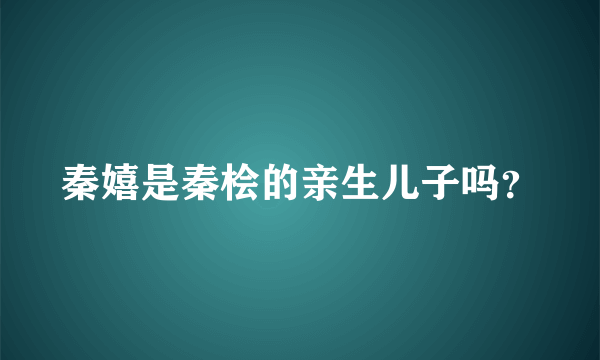秦嬉是秦桧的亲生儿子吗？